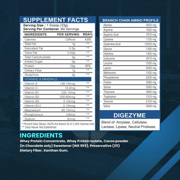 Whey Protein With Free Steel Shaker | Muscle Building and Workout Recovery