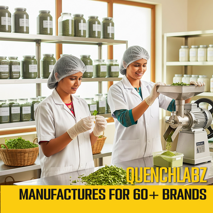 Organic Moringa Powder | Powerhouse of Minerals & Anti Oxidants