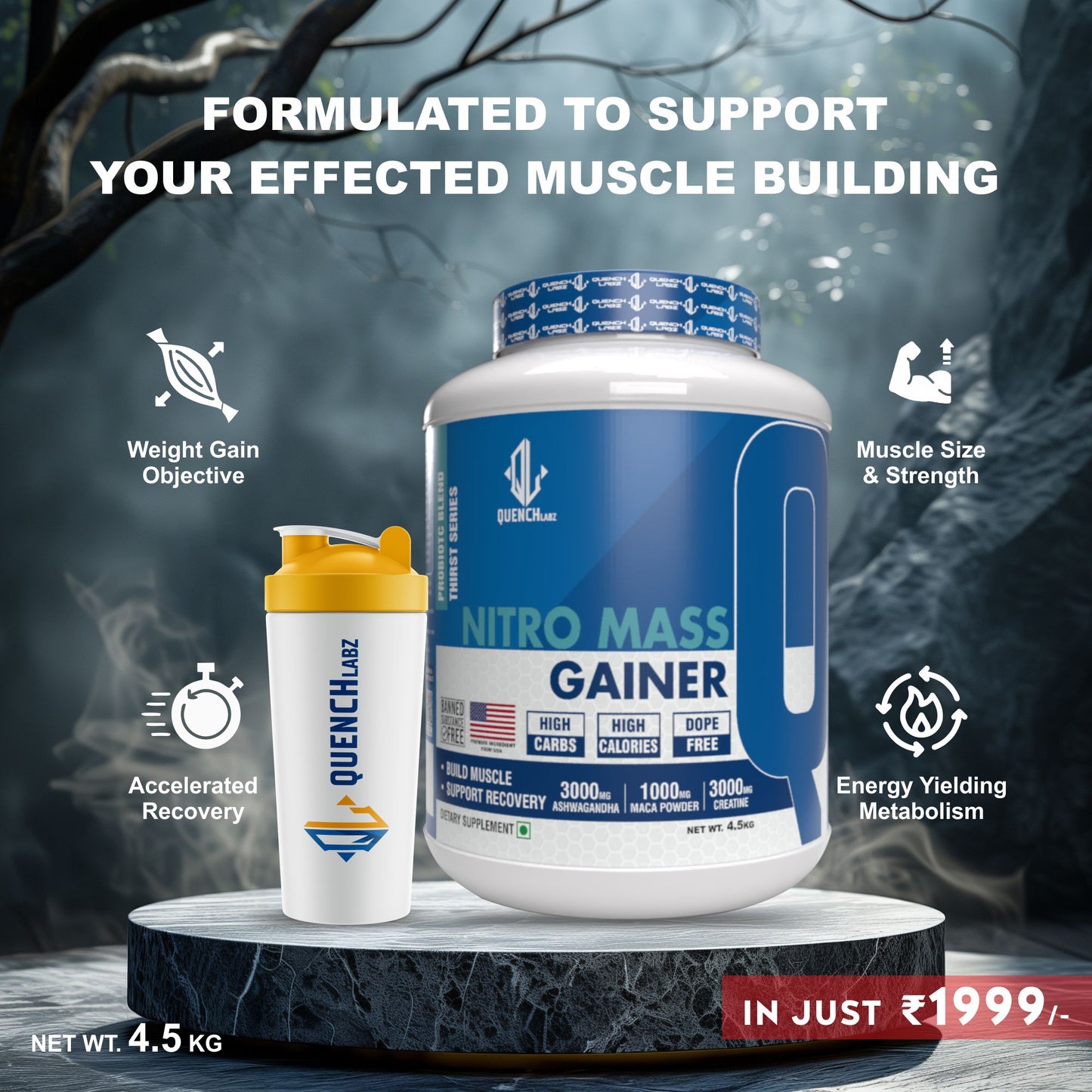 Nitro Mass Gainer | 3G Ashwagandha | 1G Macca | 3G Creatine | with Shaker