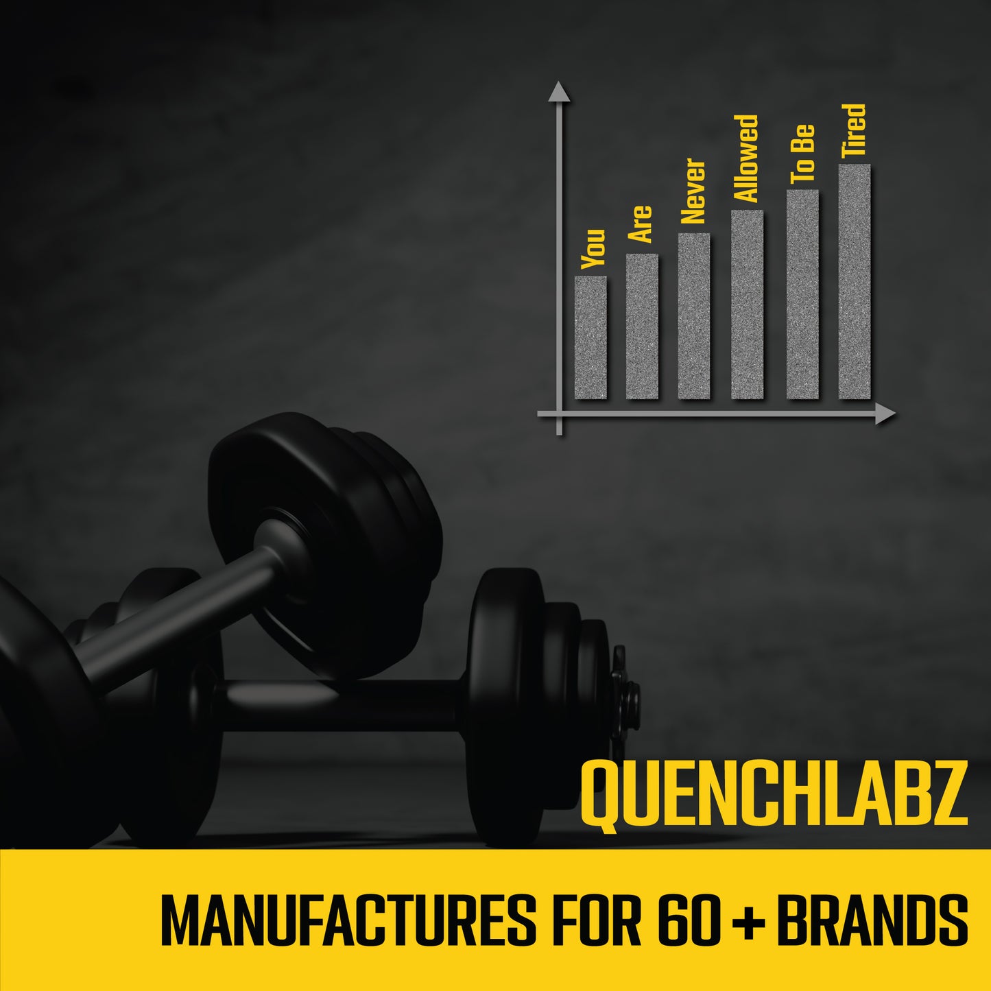 Catalyzed Whey Protein | 24 G Protein