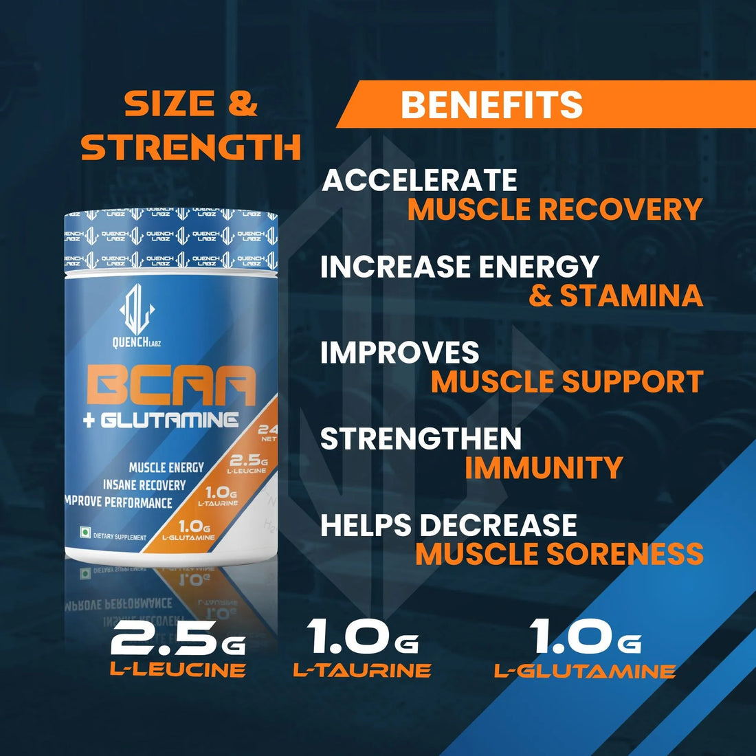 BCAA + Glutamine - Muscle Recovery Supplement